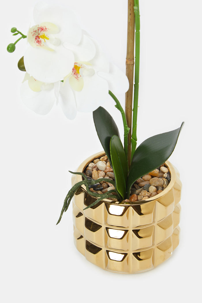 Redtag-Artificial-Orchid-In-Ceramic-Gold-Vase-Category:Plants-&-Flowers,-Colour:Gold,-Deals:New-In,-Filter:Home-Decor,-H1:HMW,-H2:HOM,-H3:DEA,-H4:VSS,-HMW-HOM-Decorative-Accessories,-HMWHOMDEAVSS,-New-In-HMW-HOM,-Non-Sale,-ProductType:Artificial-Plants,-Promo:KYRA,-Season:W23A,-Section:Homewares,-Style:FLOWER-POT,-W23A-Home-Decor-