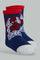 Redtag-Red-3-Pack-Spiderman-socks-365,-BOY-Socks,-Category:Socks,-CHR,-Colour:Red,-Deals:New-In,-Filter:Boys-(2-to-8-Yrs),-New-In-BOY-APL,-Non-Sale,-Section:Boys-(0-to-14Yrs)-Boys-2 to 8 Years